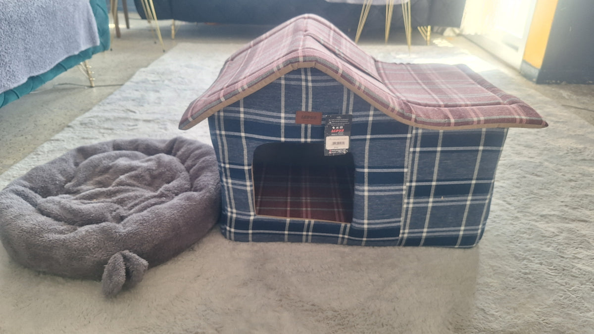 Kedi evi
